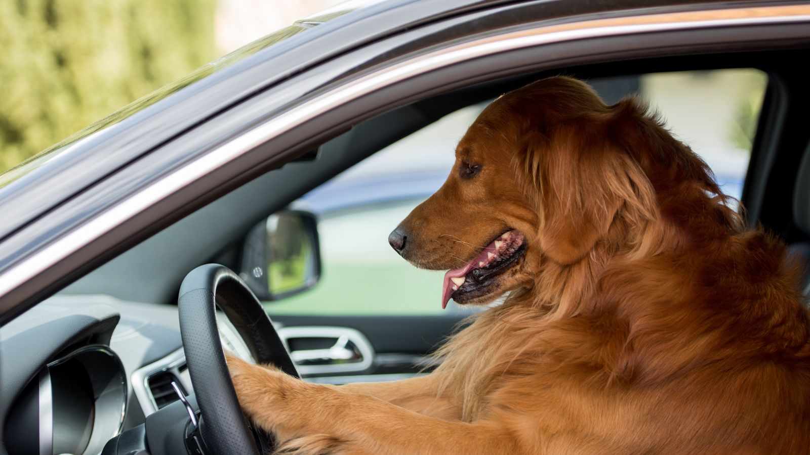 Car representing secured and unsecured car loan options in New Zealand