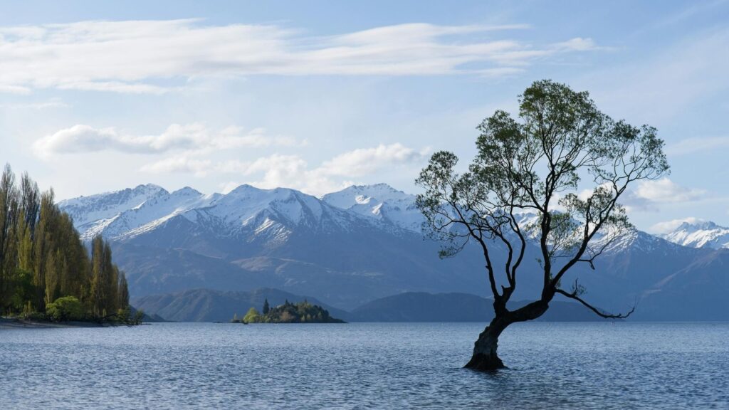 Car finance documents representing changing New Zealand lending rates